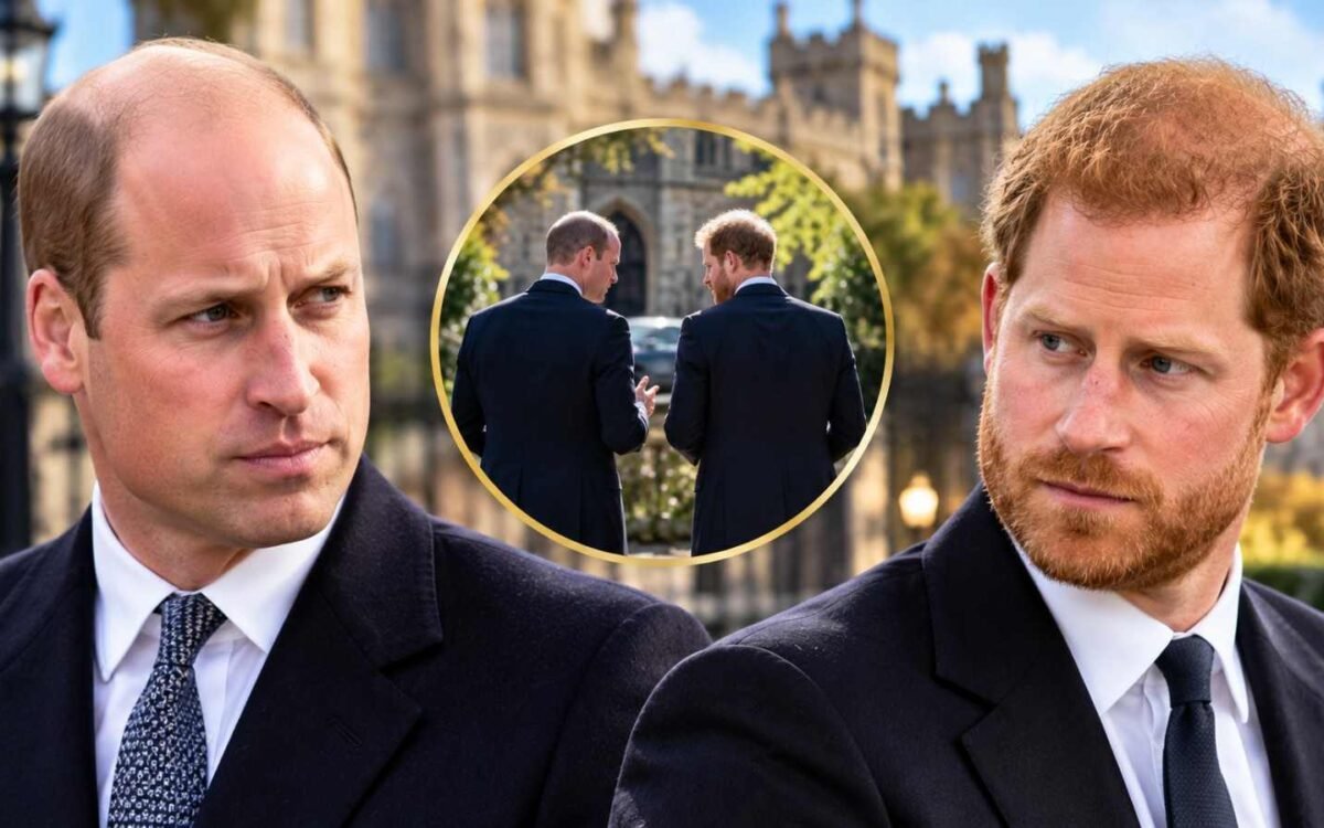 Royal Brothers Tense Palace Encounter-100kb